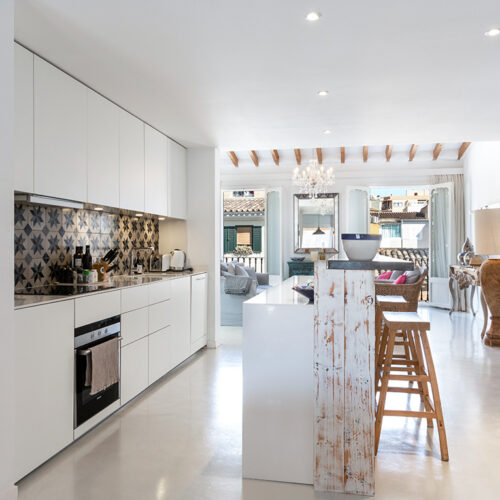 nice-penthouse-in-santa-catalina-4