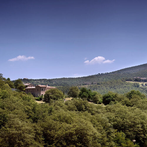 piantaverna-horizontal-new-1